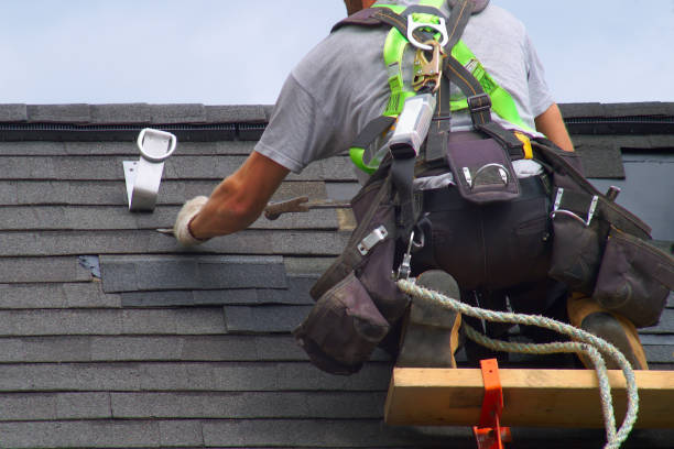 Best Roof Gutter Cleaning  in Port Huron, MI