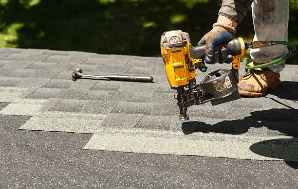 Roof Gutter Cleaning in Port Huron, MI